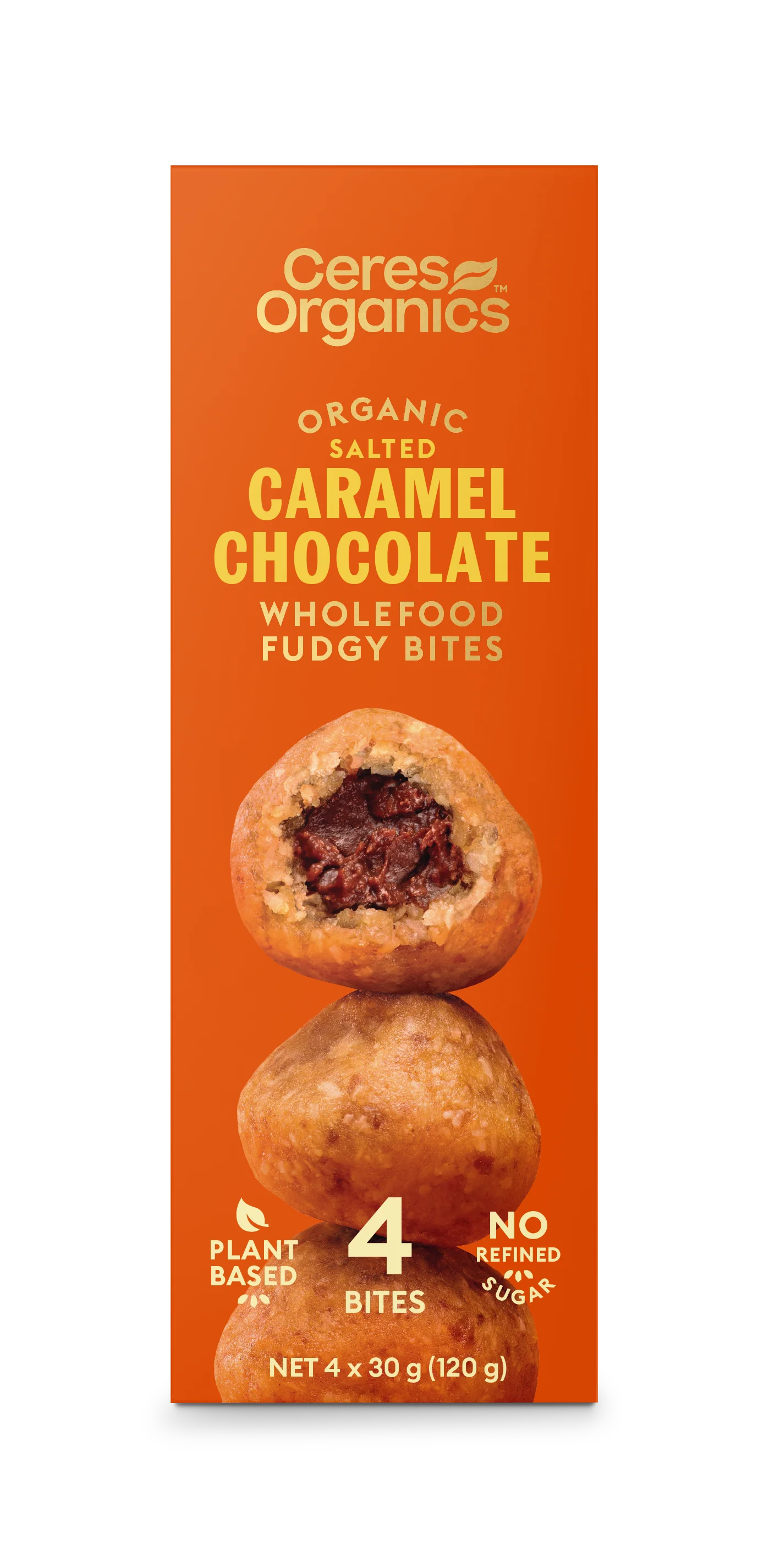 Caramel Chocolate Fudgy Bites