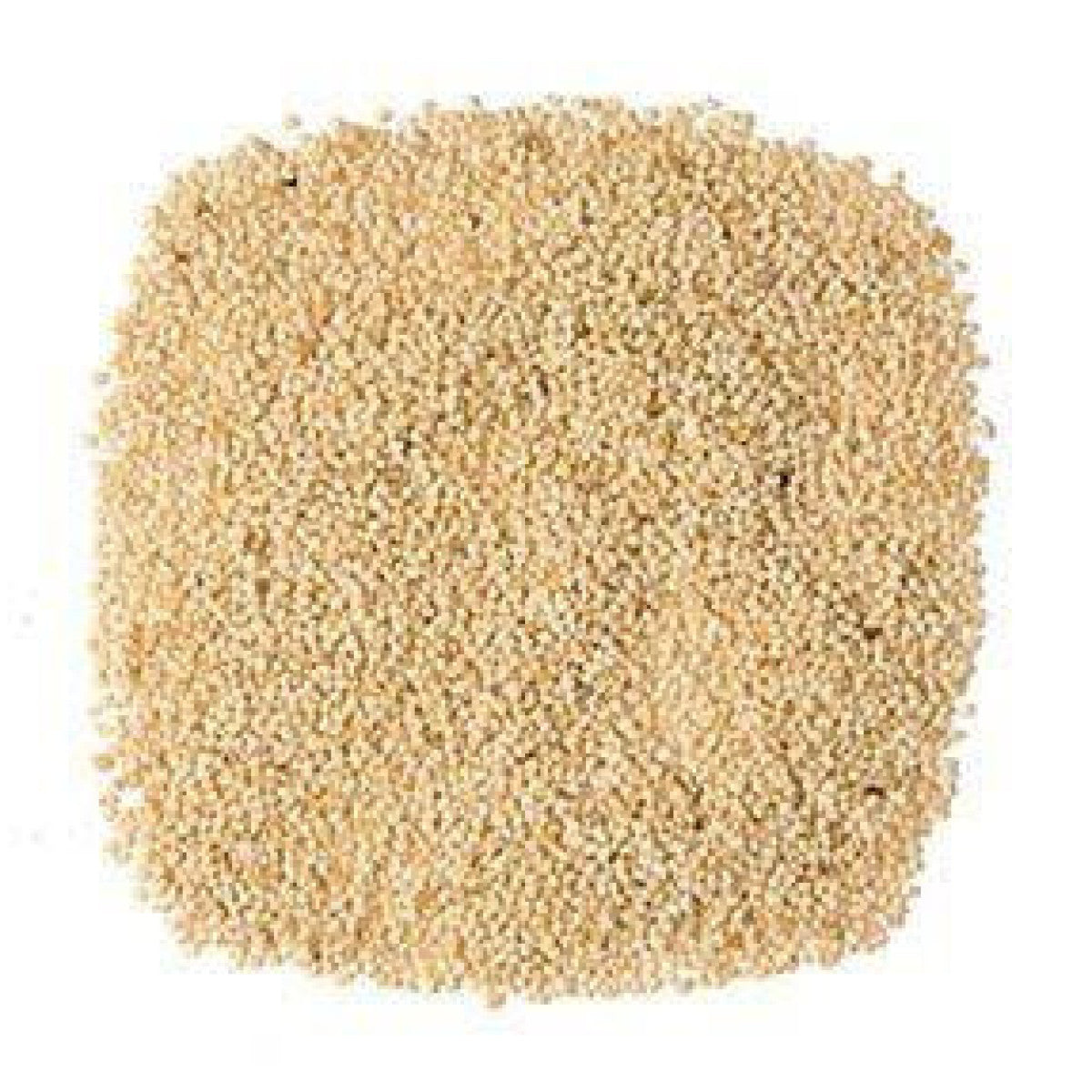 The Spice Trader White Poppy Seeds - 40g