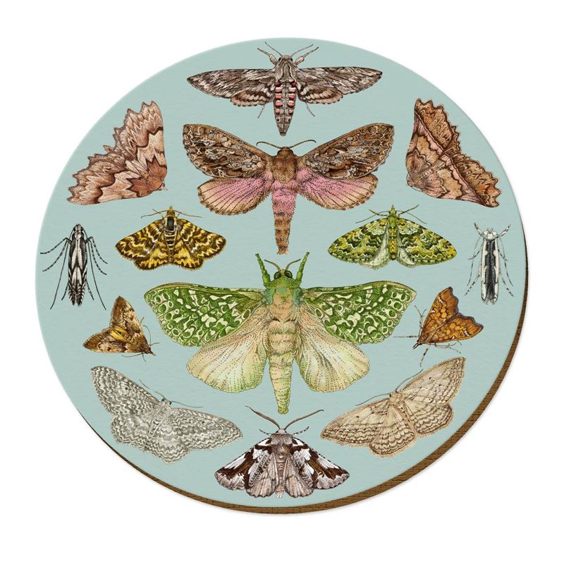 NZ Moths Placemat