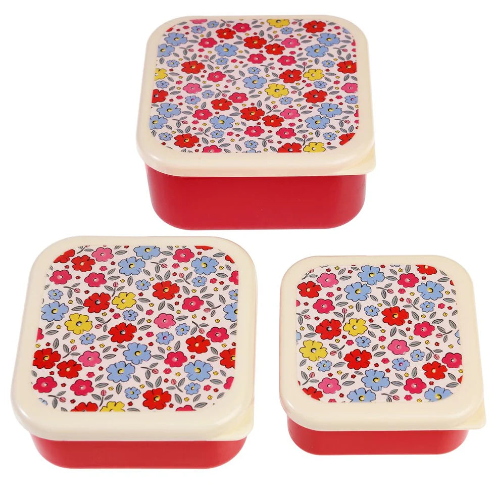 Snack Boxes (Set of 3) Tilde
