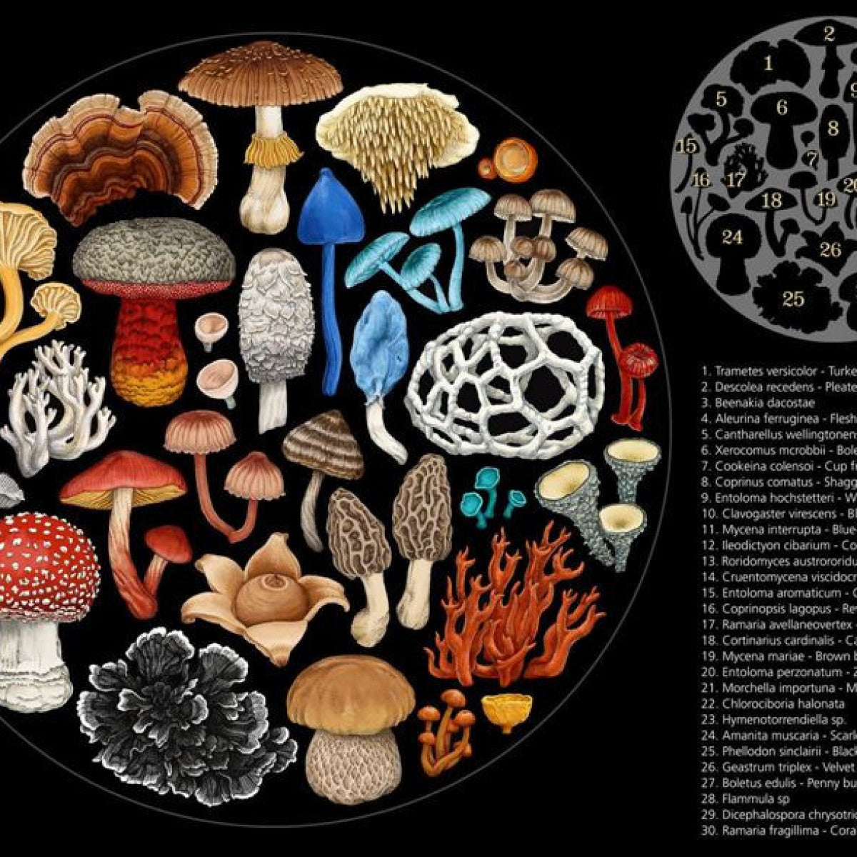 Wolfkamp & Stone Fungi 1000 Piece Round Puzzle
