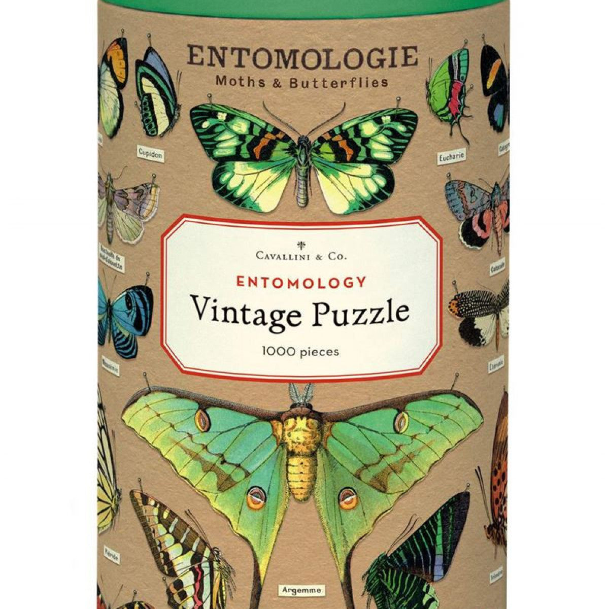 Entomology 1000 Piece Vintage Jigsaw Puzzle
