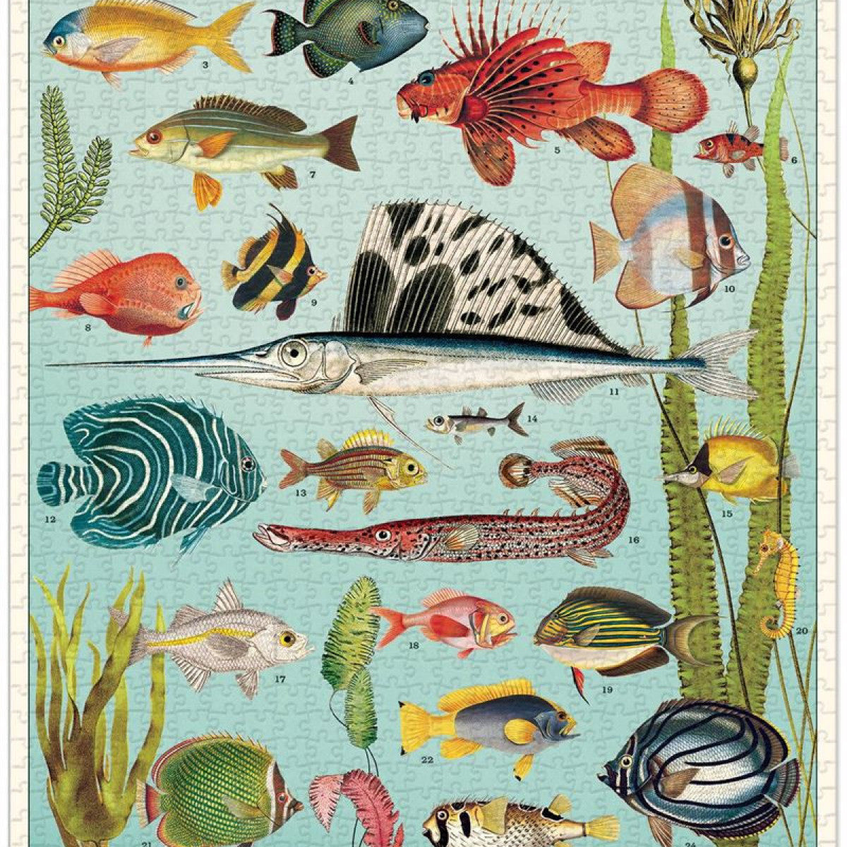 Aquarium Puzzle