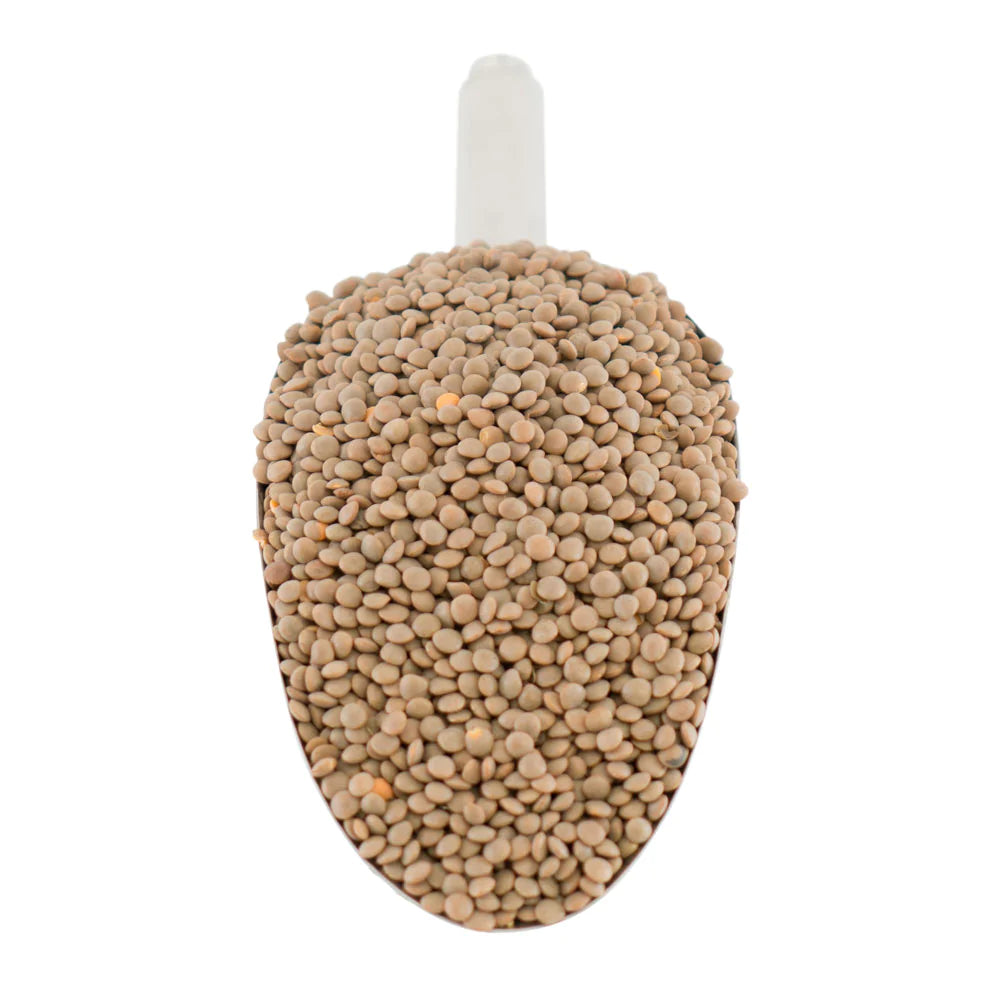 Brown-Lentil