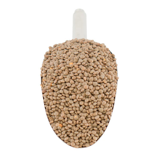 Brown-Lentil