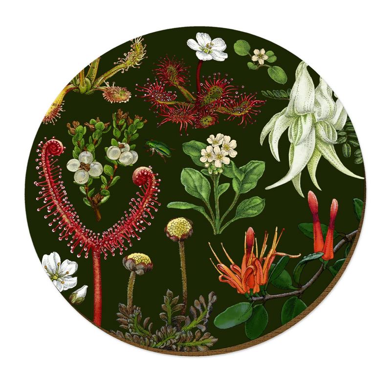 NZ Plants Placemat