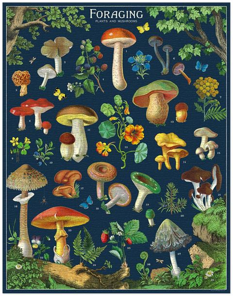 Foraging 1000 Piece Vintage Jigsaw Puzzle