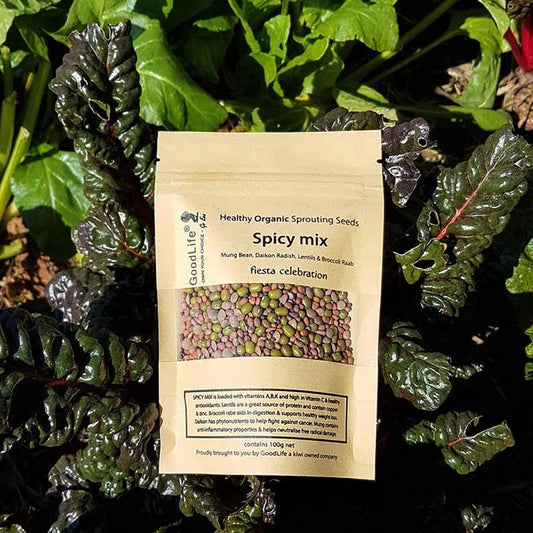 Goodlife Seeds Spicy Mix 100g Bag