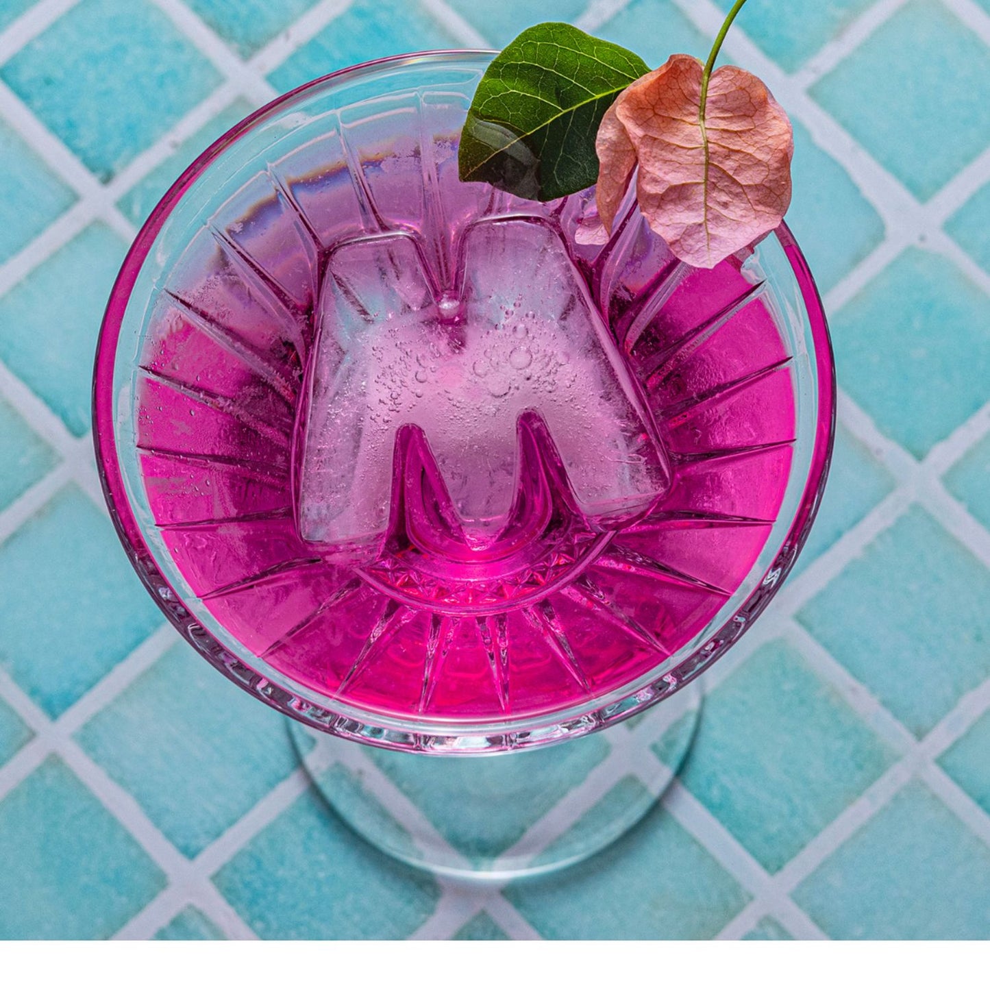 Ice Cube Tray -M For Margarita Lovers
