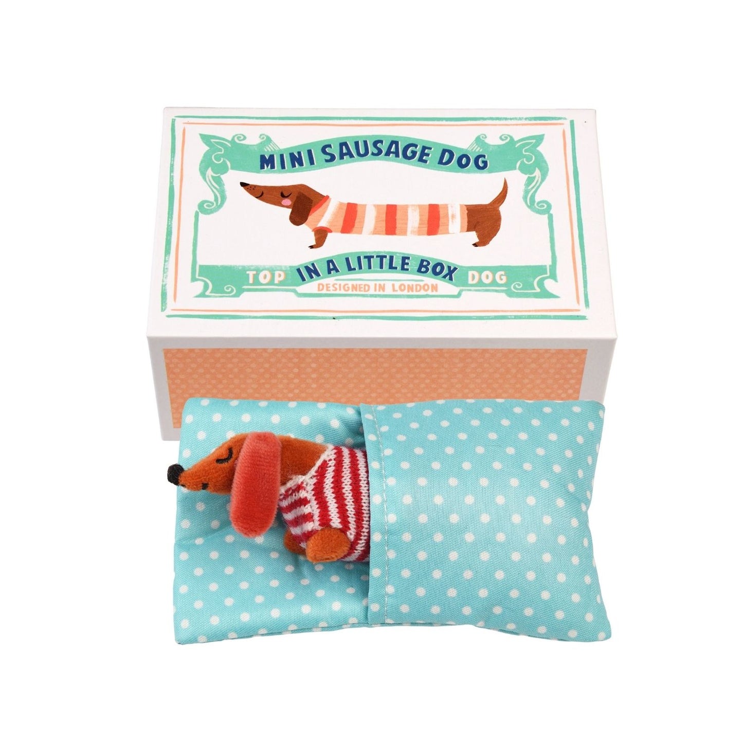 Mini Sausage Dog In A Box