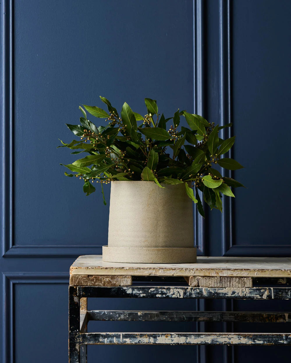 Plant Pot- White Garden To Table