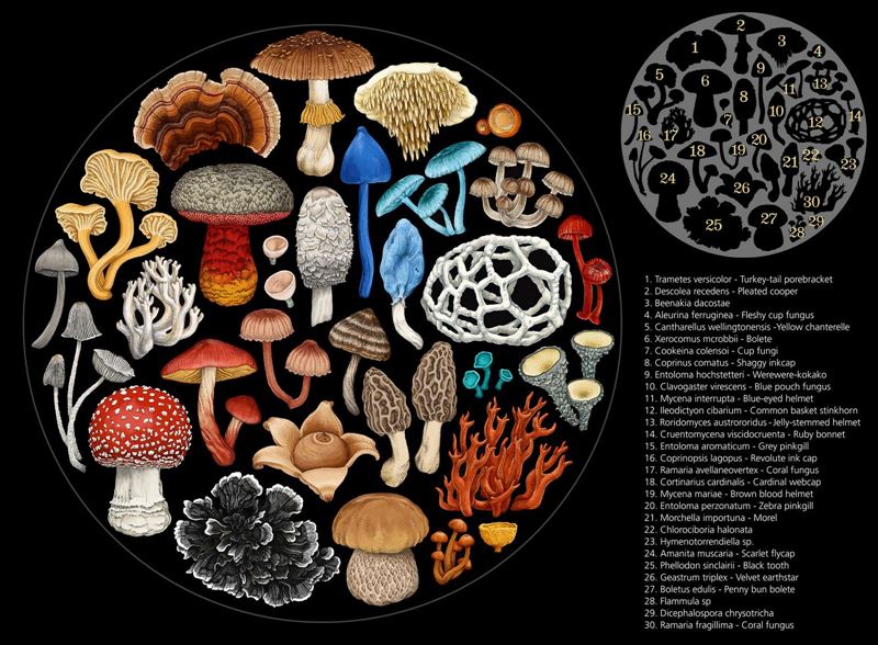 Wolfkamp & Stone Fungi 1000 Piece Round Puzzle