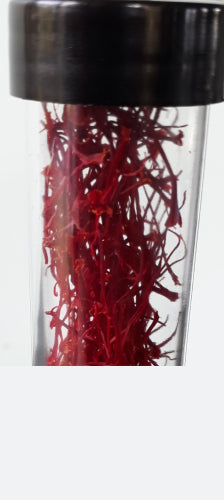 Wynyard Estate Saffron 0.5G