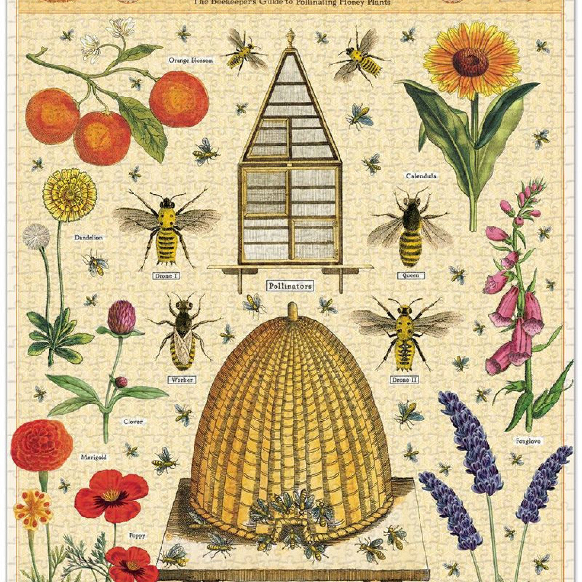 Bees & Honey Puzzle