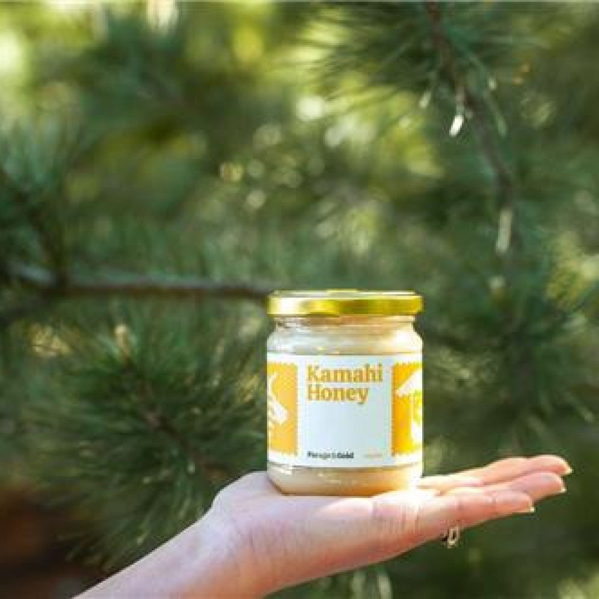 Forage & Gold Kamahi Honey