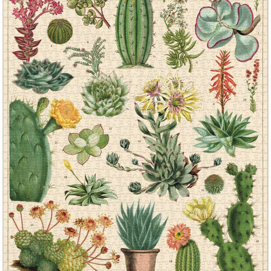 Cacti & Succlents