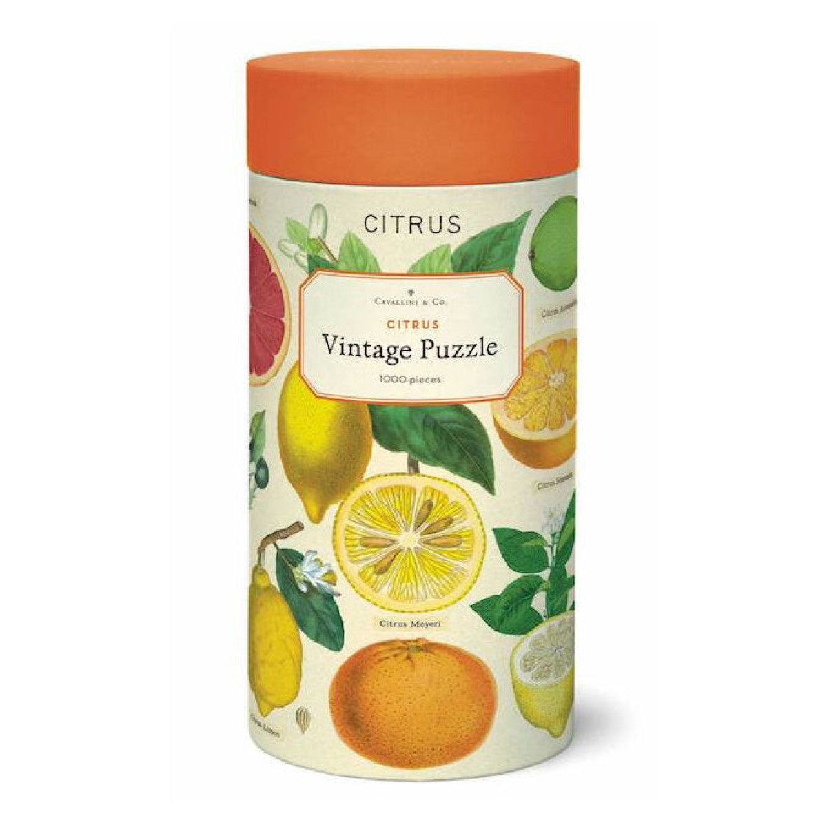 cavallini-co-citrus-1000-piece-vintage-poster-puzz