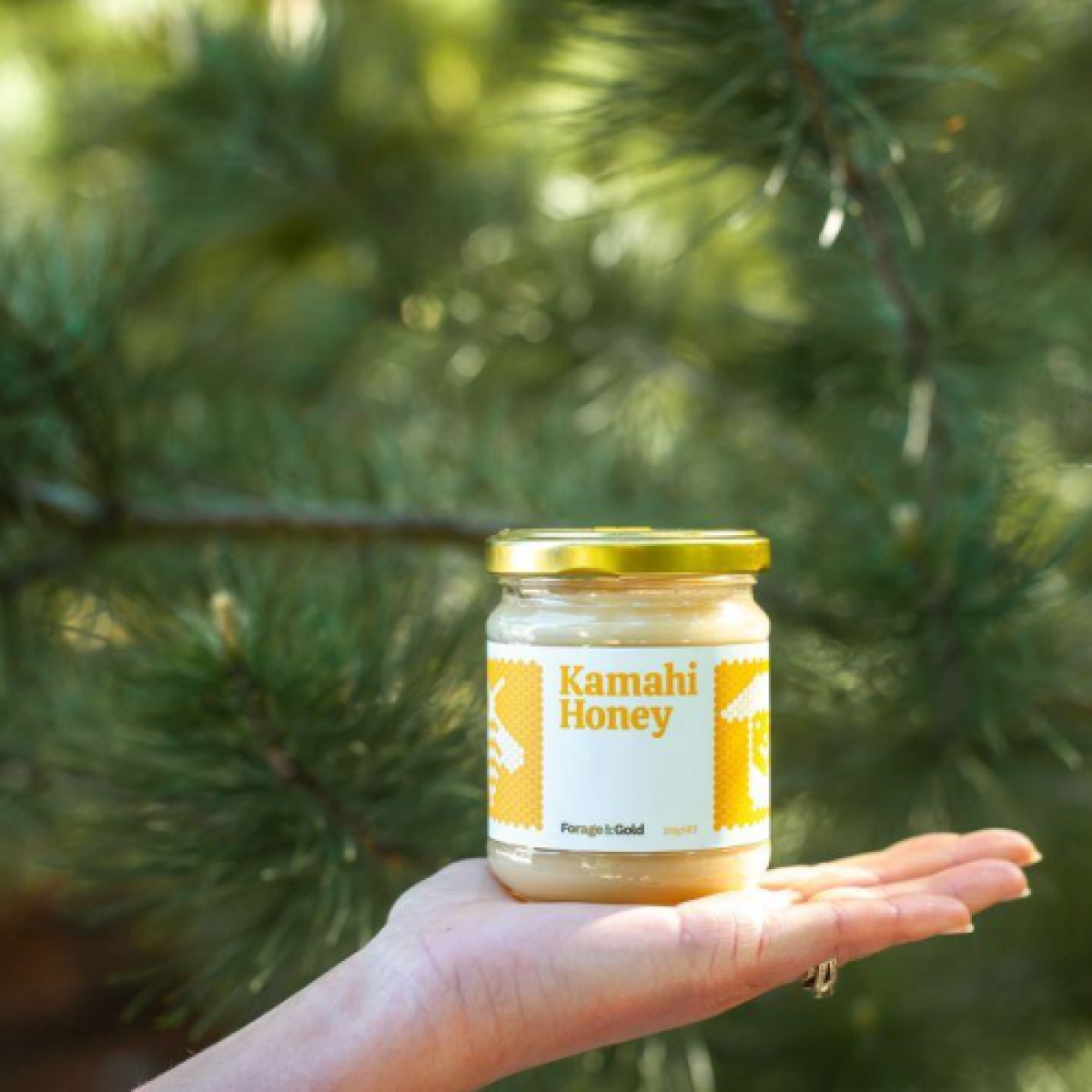Forage & Gold Kamahi Honey