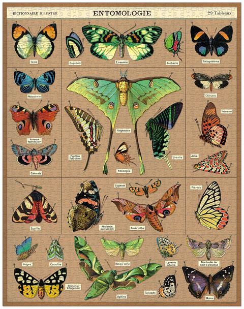 Entomology 1000 Piece Vintage Jigsaw Puzzle