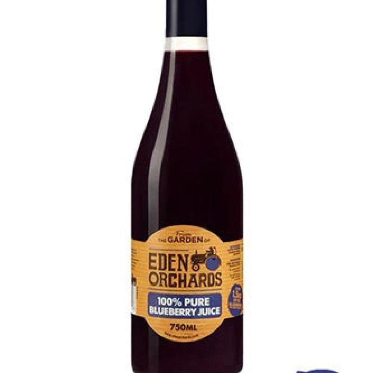 Pure Blueberry Juice