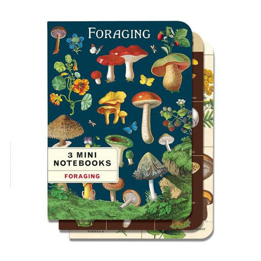 Foraging Set of 3 Mini Notebooks