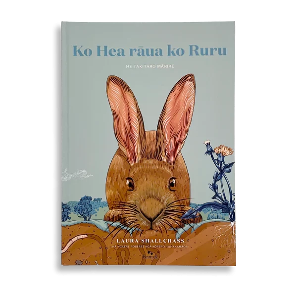 Ko Hea ko Ruru