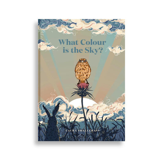 What Colour is the Sky